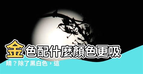 金色手機配什麼顏色手機殼|2020夏日「零失誤」手機殼穿搭術，這個秘訣讓舊機一秒變性格。